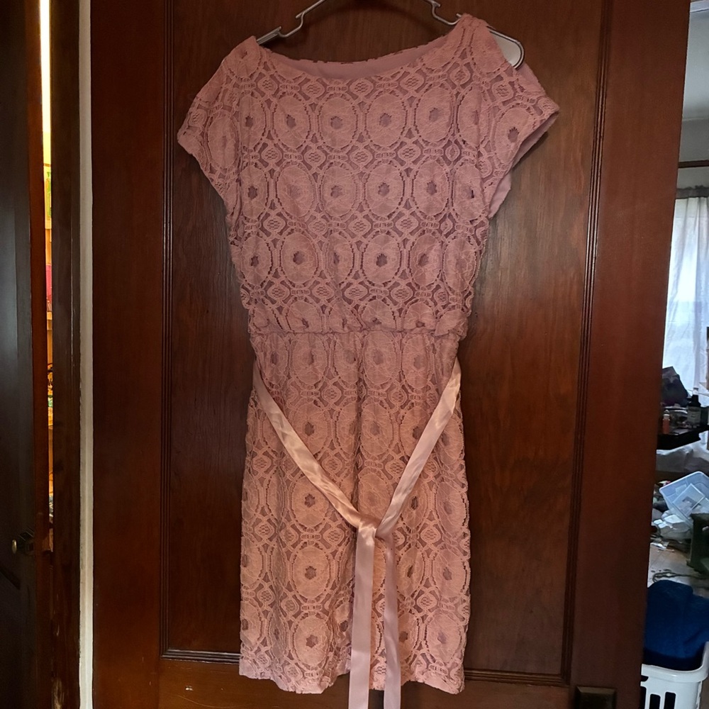 Gabby Skye Blush Lace Dress